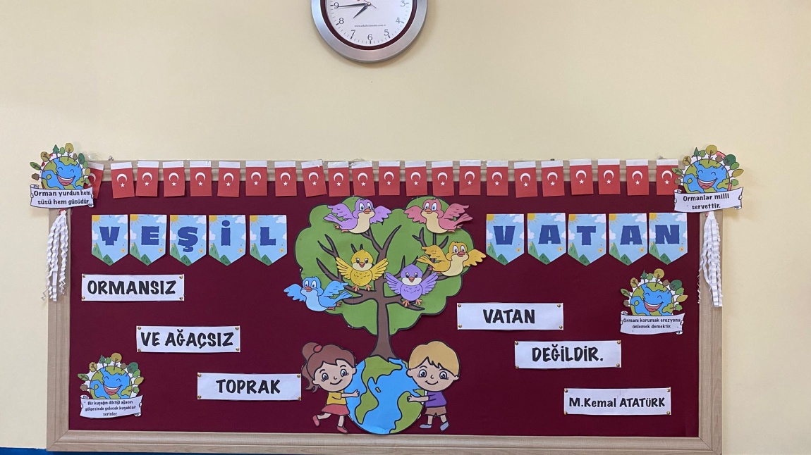 YEŞİL VATAN